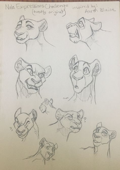 Lion Ears Drawing, Lion Expressions, Griffon Drawing, Lion Anatomy, Practicing Drawing, Lion Ears, How To Draw Ears, Lion King Drawings, Warriors Art