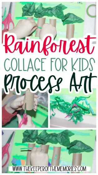 Your preschoolers and kindergartners will have a blast with this Rainforest Collage for Kids. This process art activity is perfect for encouraging creative thinking, problem-solving, and of course fine motor skills. #rainforest #collageforkids #processart #collage #finemotor Rainforest Art And Crafts For Preschoolers, Habitats Preschool, Rainforest Crafts Kindergarten, Rainforest Sensory Bin, Rainforest Preschool Crafts, Rainforest Habitat Projects For Kids, Rainforest Science Experiments For Kids, Preschool Rainforest Theme, Rainforest Preschool Theme