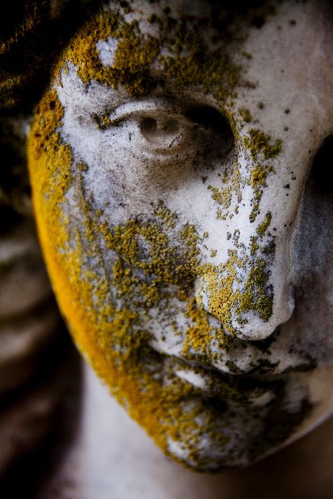 Face of angel statue covered in moss.                                                                                                                                                                                 More Grafika Vintage, Cemetery Statues, Istoria Artei, Growth And Decay, Abandoned Things, Cemetery Art, Kunst Inspiration, Angel Statues, Live Colorfully