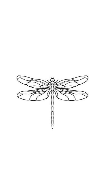 Dragonfly Tattoo Ideas, Butterfly Stencils, Wine Tattoo, Dragonfly Drawing, Earthy Tattoos, One Line Tattoo, Dragonfly Tattoo Design, Sacred Geometry Tattoo, Special Tattoos