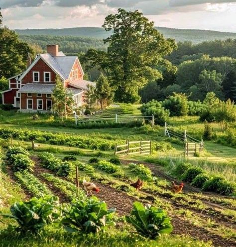 Farmette Aesthetic, Farm On A Hill, Cozy Farm Aesthetic, Cottage Home Garden, Fantasy Farm Aesthetic, Home In The Countryside, Farm Outdoor Ideas, Farming Aesthetic Country Living, Ranch Aesthetic House