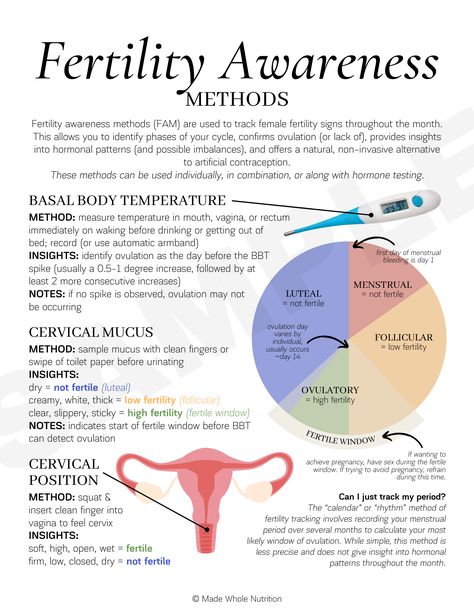 Hormone Nutrition, Fertility Awareness Method, Functional Health, Healthy Pregnancy Tips, Fertility Awareness, Fertility Health, Female Fertility, Healthy Hormones, Menstrual Health