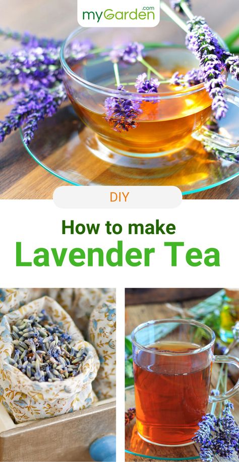 How To Make Lavender Tea, Diy Lavender Tea, Lavender Tea Recipe, Diy Teas, Herbal Crafts, Herb Blends, Dehydrated Fruits, Cooking For Dummies, Tea Blends Recipes