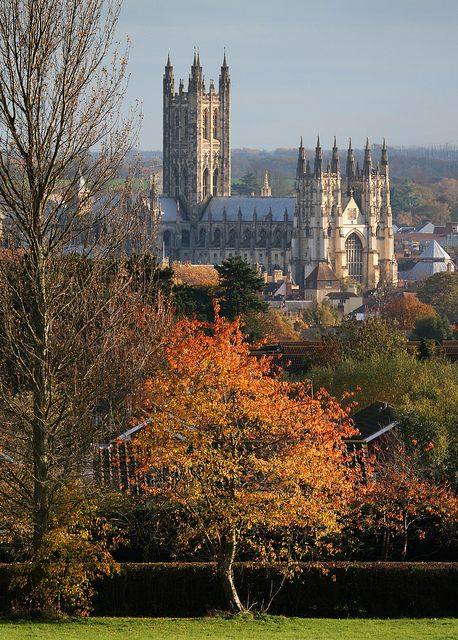 Canterbury Cathedral View from University of Kent, Autumn Tree. Awesome cathedral & darling little town! English Cathedrals, Ancient Britain, Canterbury England, Northern Island, University Of Kent, Canterbury Cathedral, Spring 23, Cathedral Church, England And Scotland