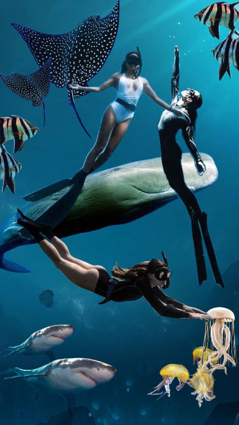 Sea Diving, Stingray, Jellyfish, Under The Sea, Your Aesthetic, Diving, Swimming, Fish, Energy