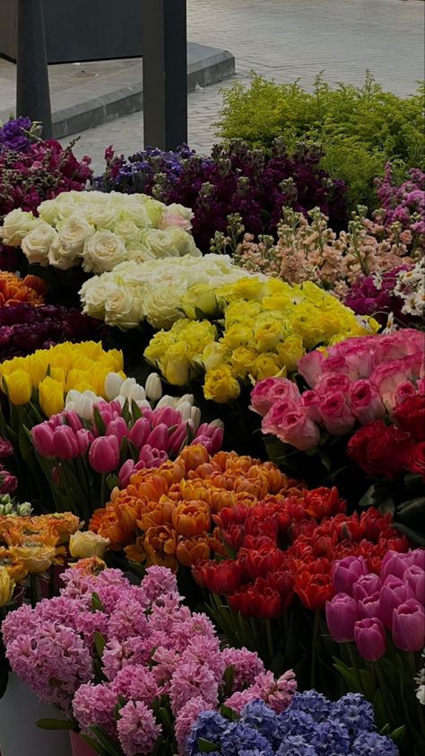 Photography Flowers, Nothing But Flowers, Flower Therapy, Beautiful Bouquet Of Flowers, Flower Lover, Exotic Flowers, Beautiful Bouquet, Flower Market, Love Flowers