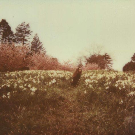 Nature, Tumblr, Polaroid Photos, Instant Film, Foto Vintage, Too Late, Self Portrait, Aesthetic Pictures, Just In Case