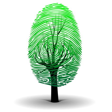 Fingerprint tree stock vector. Illustration of private - 29902743 Fingerprint Tattoos, Tree Symbol, Thumbprint Art, Fingerprint Art, Fingerprint Tree, Footprint Art, Graphic Poster Art, Cover Art Design, Finger Painting