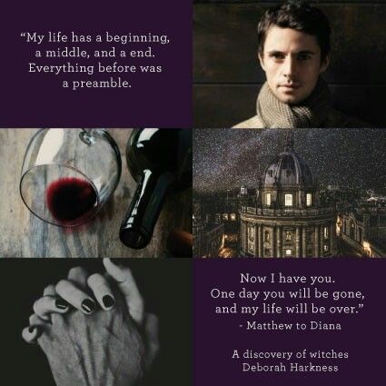 Matthew Clermont quote - A discovery of witches  Deborah Harkness A Discovery Of Witches Quotes, A Discovery Of Witches Aesthetic, Discovery Of Witches Aesthetic, Witches Quotes, Witches Aesthetic, Witch Tv Series, Soul Saga, Magic Realms, Souls Trilogy