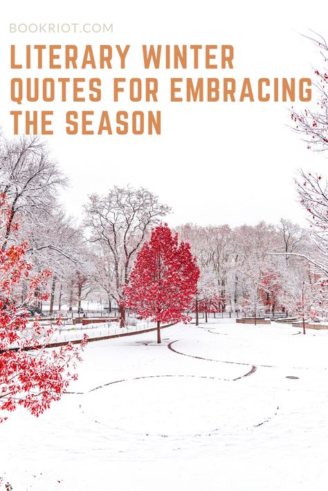 Great quotes about winter to help you embrace the season. winter quotes | quotes about winter | quote lists Winter Reading Quotes, Quotes About Red, Quotes About Winter, Quote Wallpaper Iphone, Three Word Quotes, Quotes By Writers, Quotes From Childrens Books, Winter Quote, Snow Quotes