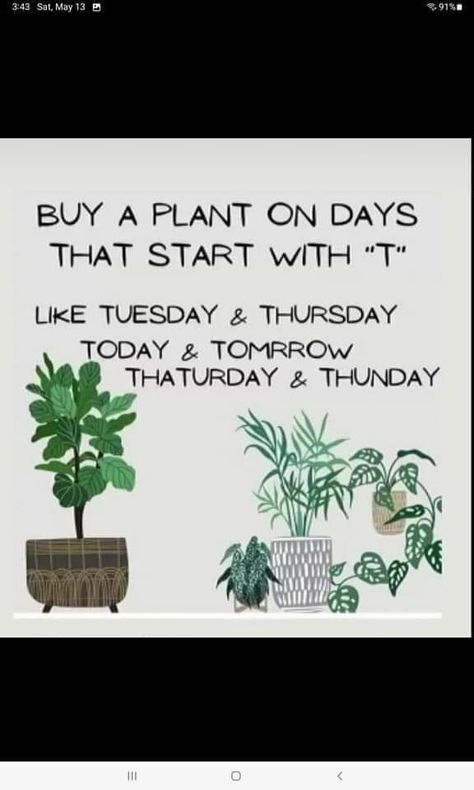 Plant Jokes, Gardening Memes, Plant Quotes, Garden Center Displays, Plant Goals, Gardening Humor, Garden Works, Plants Quotes, Garden Quotes