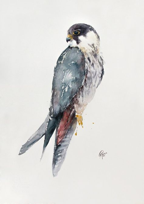 Falcon Watercolor, Watercolour Animals, Watercolor Paintings Of Animals, Nature Sketch, Wildlife Paintings, Watercolor Painting Techniques, Bird Artwork, Watercolor Palette, Bird Art Print