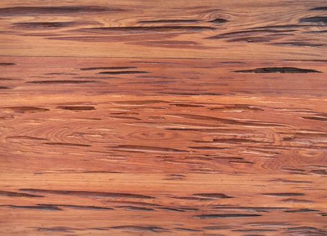 Pecky Cypress — Old Florida Lumber Company Pecky Cypress Paneling, Pecky Cypress, Cypress Wood, 2024 Design, Old Florida, Door Wall, Fireplace Mantels, Lumber, Brown Color