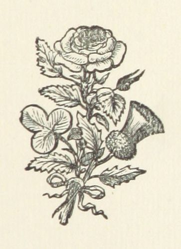 Image taken from page 289 of 'Rose, Shamrock, and Thistle. A story of two Border towers' | by The British Library Rose Thistle Shamrock Tattoo, Shamrock And Thistle Tattoo, Tattoo October, Welsh Tattoo, Scottish Genealogy, Body Expressions, Thistle Tattoo, Scottish Flowers, Shamrock Tattoos