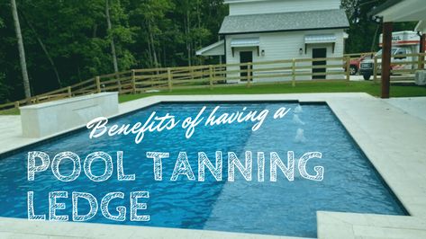 Pool owners tend to spend time on their pool tanning ledge or sun shelf drinking beverages, reading books, and just relaxing. 20x40 Pool, Pool Tanning Ledge, Vinyl Swimming Pool, Sun Shelf, Pool Events, Tanning Ledge Pool, Pool Tanning, Rectangle Pool, Swimming Benefits