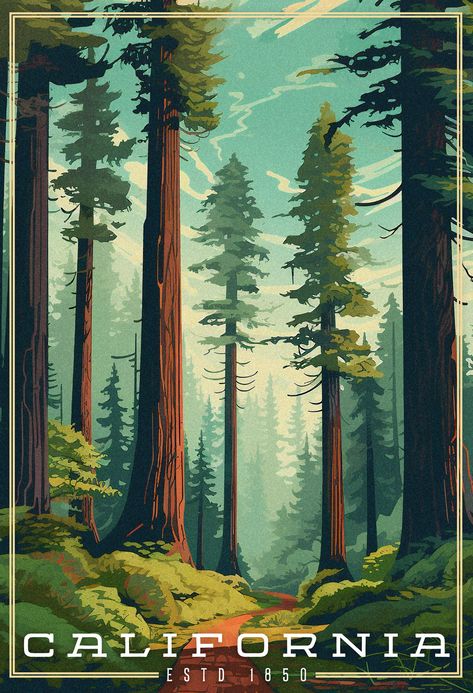 Giant redwood trees with a small trail going through them. Blue skies with just a few thin clouds. The word California is the title located in the bottom of the image Nature Poster Design Illustration, Croquis, Rocky Mountain National Park Poster, California Redwoods Tattoo, California Vintage Poster, National Parks Vintage, California Travel Poster, Vintage National Parks Posters, Vintage Landscape Illustration