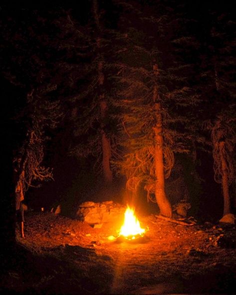 Tent In The Woods, In The Woods At Night, Fantasy Cabin, The Woods At Night, Woods At Night, Maine Hiking, Camping In The Woods, Cabin Aesthetic, Forest Camp