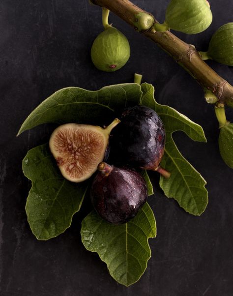 Green Figs, Rosé Portrait, Mouthwatering Food, Green Fig, Leaf Photography, Legends And Myths, Fresh Figs, Fig Leaves, Fig Tree