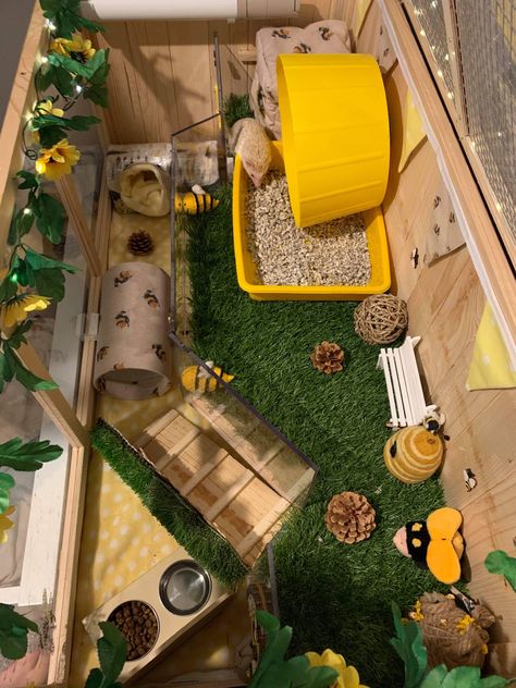 Pygmy Hedgehog Cage, Hedgehog Pet Cage, Hedgehog Room, Kandang Hamster, Hedgehog Habitat, Hedgehog Care, Hedgehog Cage, Hamster Diy, Pygmy Hedgehog