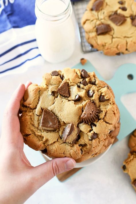 Jumbo Peanut Butter Cup Cookies Reeses Cookies, Healthy Peanut Butter Cookies, Cup Cookies, Peanut Butter Cup Cookies, Easy Peanut Butter Cookies, Peanut Butter Chocolate Chip Cookies, Peanut Butter Cup, Peanut Butter Lovers, Peanut Butter Cookie Recipe