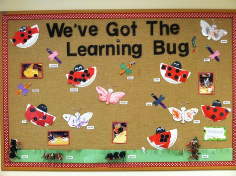 Bugs bulletin board Creepy Crawlies Bulletin Board, Insects Bulletin Board Preschool, Bug Bulletin Board Ideas Preschool, Bugs Bulletin Board Ideas, Insects Bulletin Board Ideas, Bug Theme Classroom Decorations, Insect Bulletin Board Ideas Preschool, Bugs Classroom Decor, Bug Classroom Theme Decor