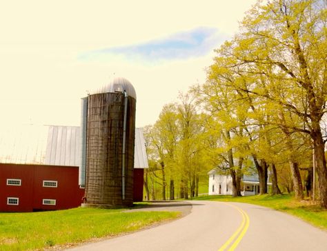 Northeast Kingdom and St. Johnsbury VT | Getaway Mavens St Johnsbury Vermont, Northeast Kingdom Vermont, Bag Balm, Buddhist Meditation, Meditation Center, Country Inn, Trip Ideas, Nature Lovers, Vermont