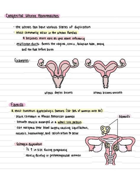 This is the unit Abnormal Gynecology in Ultrasound including pathology, ultrasound images, definitions, anatomy and more! All ultrasound images are either credited to google or Sandra Hagen-Ansert Diagnostic Sonography. Ob Ultrasound Tech, Travel Sonography, Ultrasound Technician Notes, Ultrasound Technician Student Notes, Ultrasound Tech Notes, Sonography Student Study, Ultrasound Technician Student, Ob Sonography, Ultrasound Technician Aesthetic