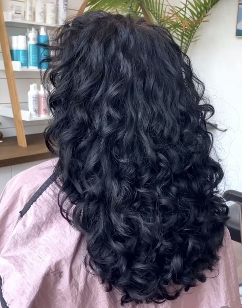 Permed Black Hair, 2c Black Hair, Black 2c Hair, Natural Wavy Black Hair, Hair Dye Ideas Black Hair, Jet Black Hair Curly, Black Wavy Curly Hair, Long 3a Hair, Black Wavy Hairstyles