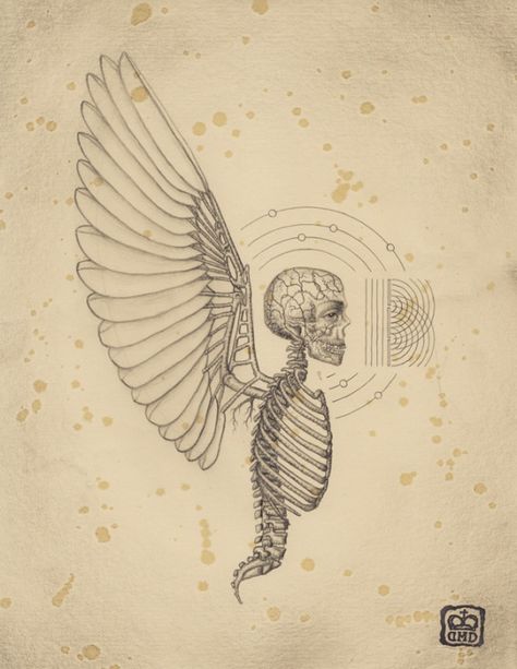 Soul of Science by Daniel Martin Diaz Occult Architecture, Winged Skeleton, Daniel Martin Diaz, Science Drawing, Esoteric Art, Psy Art, Illustration Photo, Occult Art, Mexican Artists