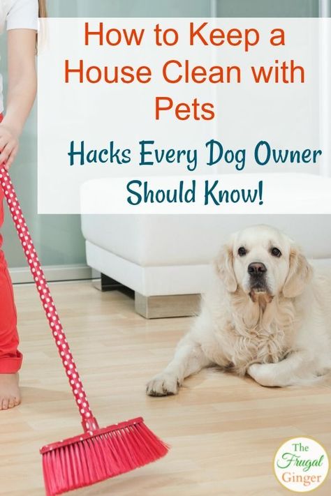 Use these easy tips to keep a house clean with pets, even with a shedding dog! Learn how to keep your house from smelling like dog and to keep the floors clean of dog hair, along with every other area in your home. This is a must read for every dog owner! #pets #cleaning #dog Homemade Toilet Cleaner, Cleaning Painted Walls, Glass Cooktop, Deep Cleaning Tips, Dog Cleaning, Dog Shedding, Pet Hacks, Clean Dishwasher, Cleaning Checklist