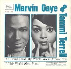 Tammi Terrell, Music Tones, Tamla Motown, Soul Artists, Soul Singers, Famous Musicians, Marvin Gaye, Northern Soul, Music Images