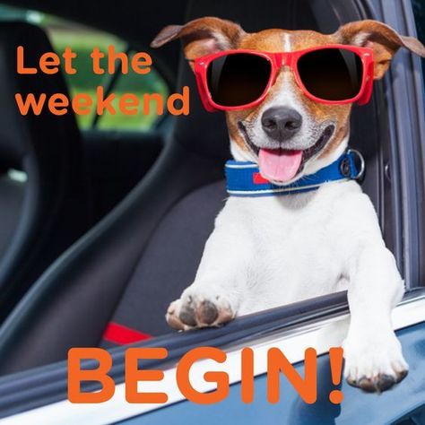 Let The Weekend Begin Happy Weekend Pictures, Saturday Quotes Funny, Saturday Memes, Happy Saturday Quotes, Let The Weekend Begin, Saturday Humor, Weekend Greetings, Saturday Quotes, Good Morning Saturday