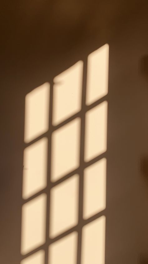 Window Shadow Aesthetic, Studio Background Ideas, Golden Hour Aesthetic, Light And Shadow Photography, Projector Photography, Shadow Overlay, Window Shadow, Shadow Images, Studio Backdrops Backgrounds