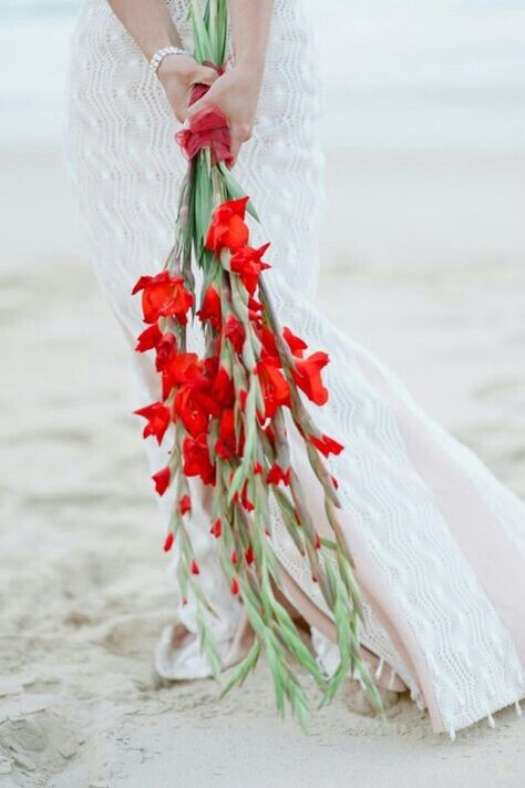 Simply Stunning Arm Sheaf Bridal Bouquet Of Red Gladiolus Gladiolus Wedding Bouquet, Gladiolus Wedding, Homemade Wedding Dresses, Gladiolus Bouquet, Spring Pantone, Red Bridal Bouquet, Pantone 2016, Wedding Color Trends, Red Wedding Flowers