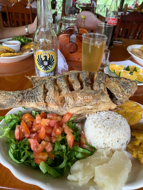 #tilapia #fish served with an #imperial #beer is #puravida in Costa Rica. #cerveza #dinner #lunch #food #salad #rice Costa Rica Dishes, Adriana Core, Costa Rica Food, Angelina Core, Costa Rica Coffee, Costa Rican Food, Tilapia Fish, Food Salad, Puntarenas