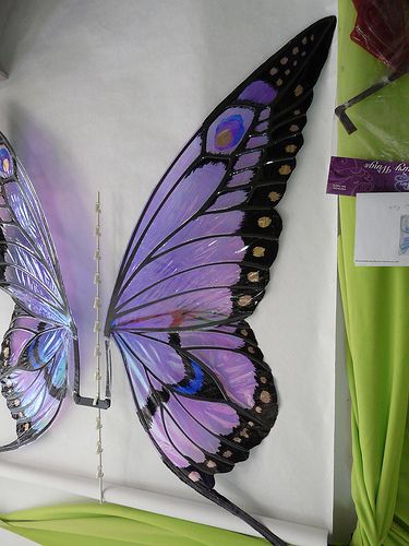 GiantButterflyWingsSide2 | Giant Butterfly wings comissioned… | Flickr Diy Fairy Wings, Giant Butterfly, Kristina Webb, Butterfly Fairy Wings, Butterfly Costume, Butterfly Fairy, Wings Costume, Diy Fairy, Fantasias Halloween