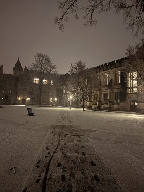 snow on the ground at princeton in mccosh courtyard Prinston University Aesthetic, Privet School Aesthetic, Prestigious School Aesthetic, Princeton Aesthetic, Princeton University Aesthetic, Galaxy Stern, Princeton Library, Princeton Campus, Princeton University Campus