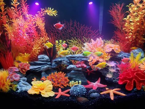 20 Gallon Saltwater Aquarium, Decorative Fish Tank, Colorful Fish Tank Ideas, Glo Fish Tank Ideas, Beautiful Fish Tanks, Glow Fish Tank Ideas, Fish Tank Decorations Themes, Fish Tank Themes Creative, 20 Gallon Fish Tank Ideas