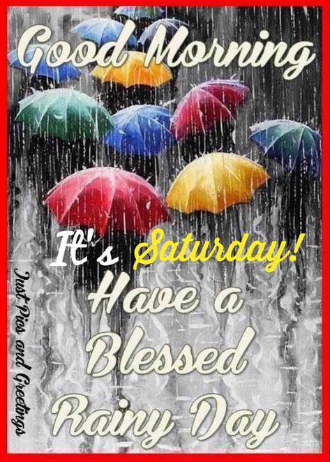 Saturday Rainy Morning Quotes, Morning Rain Quotes, Rainy Morning Quotes, Rain Photos, Weekend Blessings, Saturday Morning Quotes, Saturday Greetings, Good Morning Animated Images, Rainy Saturday