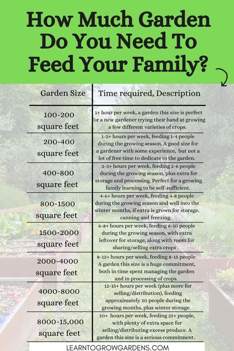 How Much Garden To Feed A Family, Dream Vegetable Garden Design, Garden To Feed Family Of 4, Raised Garden Beds Vs In Ground, Backyard Vegetable Garden Design Layout Raised Beds, Vegetable Garden Layout Raised Bed Plans, Garden Plots Layout Raised Beds, Large Raised Bed Garden Layout, How Much To Plant Per Person