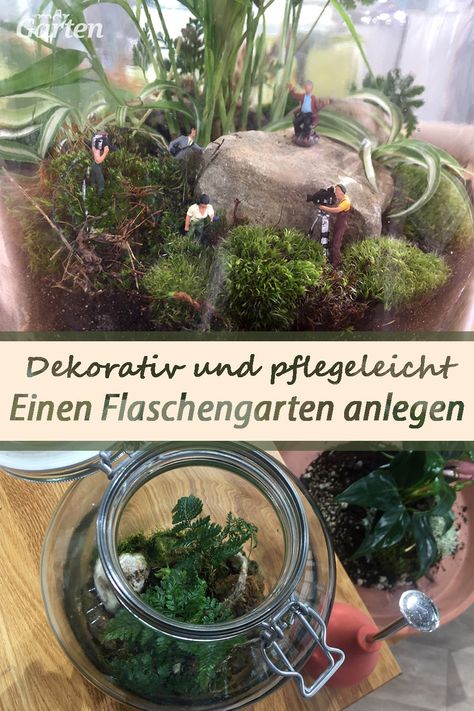 Mini Terrarium, Upcycle Garden, Plants Are Friends, Urban Jungle, Urban Garden, Fairy Garden, Terrarium, Flower Power, Crafts For Kids