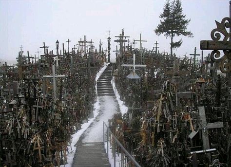 The Hill of Crosses, Northern Lithuania Hill Of Crosses, Creepy Images, Southern Gothic, Gothic Aesthetic, History Channel, The Hill, Graveyard, Abandoned Places, Pilgrimage