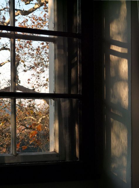 Szigliget window | Flickr - Photo Sharing! An Open Window, Foto Tips, Window View, Academia Aesthetic, Through The Window, Best Seasons, Open Window, Autumn Aesthetic, Light And Shadow