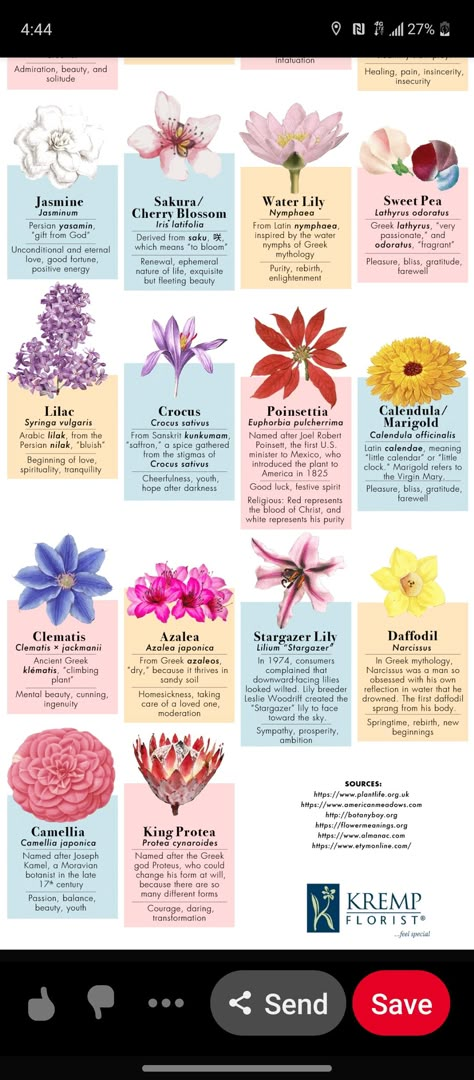 What Do Different Flowers Mean, Flower Meaning New Beginning, Flower Colour Meaning, List Of Spring Flowers, Meaning Of Different Flowers, Flowers That Mean Betrayal, Flowers Of Strength, Purple Flowers Meaning, Flowers That Represent Love