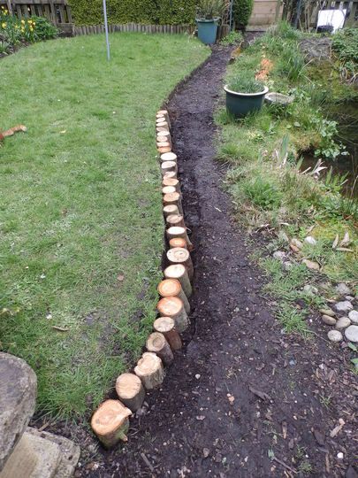 Bark path in process of being up-dated! Bark Path, Gardening Photos, Garden Picture, Lawn And Landscape, Front House Landscaping, Garden Yard Ideas, Woodland Garden, Vegetable Garden Design, Garden Edging