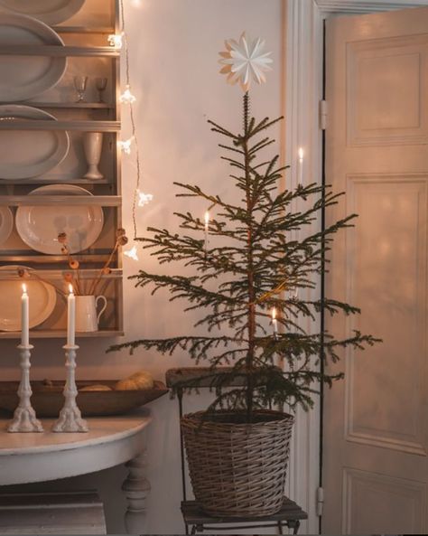 my scandinavian home: 10 Scandi Christmas Decoration Ideas from Mari's Home Nontraditional Christmas Tree, Christmas Scandinavian Style, Scandi Christmas Decorations, Scandinavian Christmas Trees, Scandinavian Christmas Decorations, Scandi Christmas, Swedish Christmas, Nordic Christmas, Scandinavian Decor