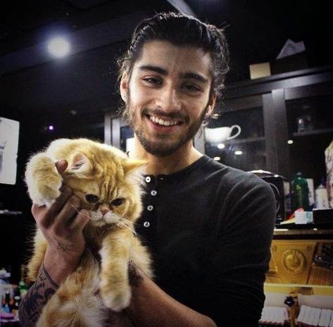 Adopting A Kitten, Bad Boys 3, Zayn Malik Style, Zayn Malik Photos, Zayn Malik Pics, Louis And Harry, Kitten Adoption, Zayn Malik, Boyfriend Pictures