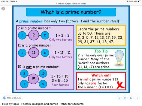 Maths Tips, Prime Factors, Math Examples, Math Made Easy, Teaching Math Strategies, Grade 6 Math, Teaching Algebra, Prime Numbers, Math Charts