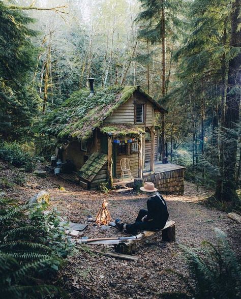 This cozy cottage surrounded by woods. Forest Cabin, Cottage In The Woods, A Cabin, Tiny House Cabin, Small Cabin, Cabins And Cottages, Forest House, Cabin Life, Off Grid Living