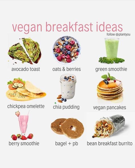 VEGAN BREAKFAST IDEAS - ▶Over 150 Delicious vegan Recipes, Plant Based Recipes for Muscle Growth, Fat Loss, and a Healthier Lifestyle & 30… Quick Vegan Breakfast, Carleigh Bodrug, Smoothie Bowl Vegan, Vegan Breakfast Ideas, Breakfast Recipes Kids, Vegan Recipes Plant Based, Plant Based Diet Recipes, Plant Based Breakfast, Vegan Nutrition